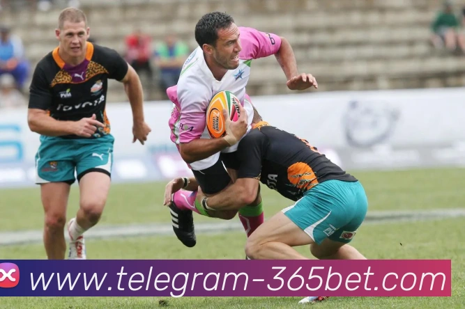 数据防护可视化